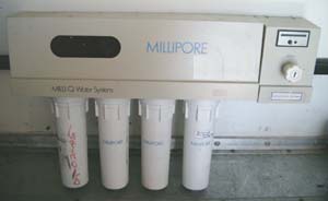 Filters For first generation - Beige Flip top Milli-Q system